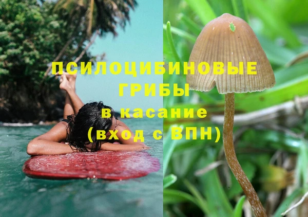 mdpv Горнозаводск