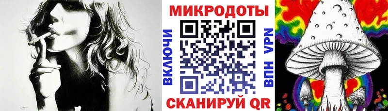 KRAKEN   Якутск  Галлюциногенные грибы мицелий 